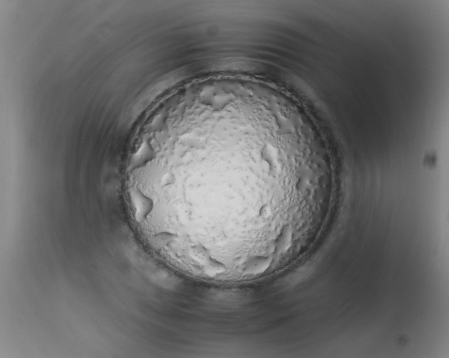 X0000114171025200910221646