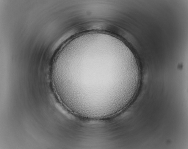 X0000114171026200910221646