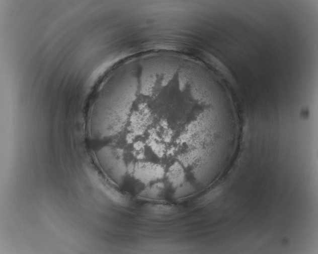 X0000114171027200910221646