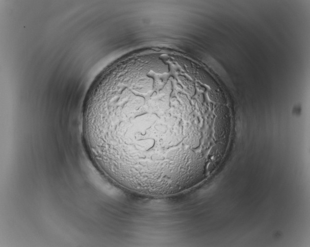 X0000114171028200910221646