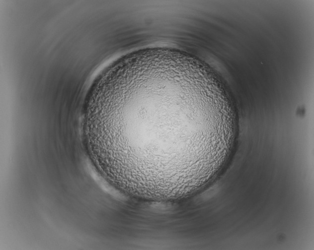 X0000114171029200910221646