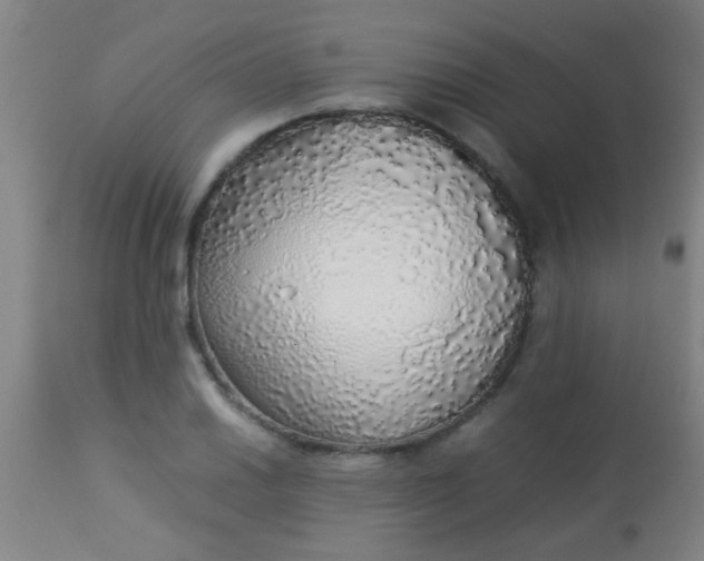 X0000114171030200910221646