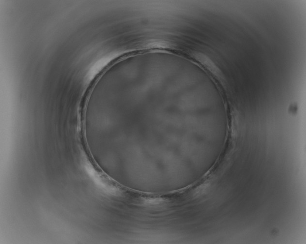 X0000114171031200910221646