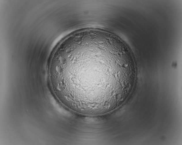 X0000114171032200910221646