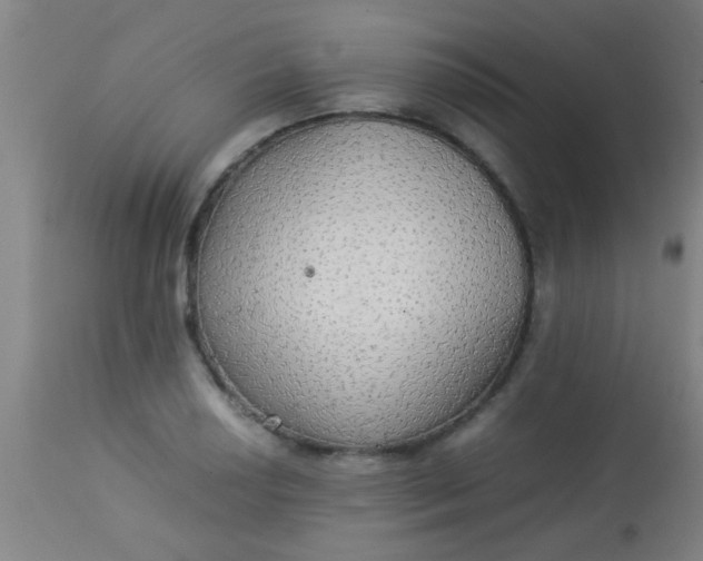 X0000114171034200910221646