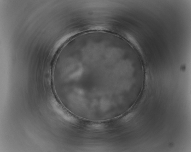 X0000114171035200910221646