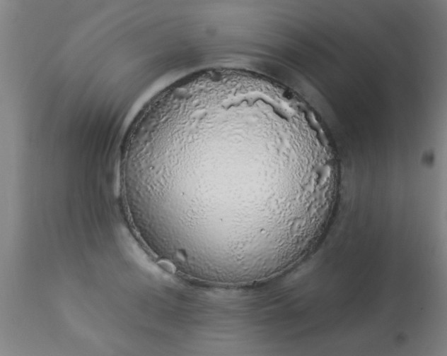 X0000114171036200910221646