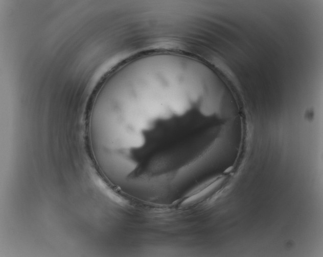 X0000114171037200910221646