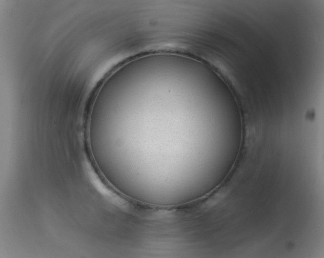 X0000114171038200910221646