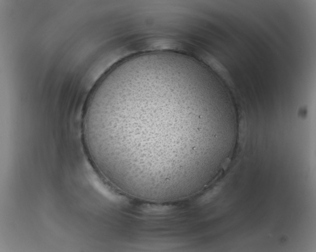 X0000114171039200910221646