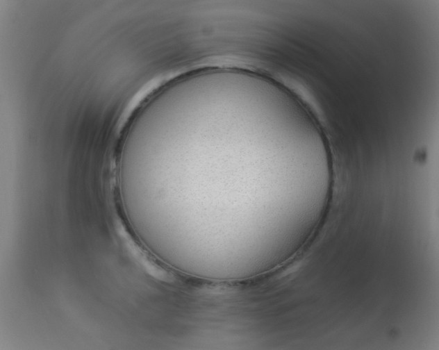 X0000114171040200910221646