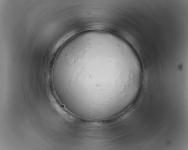 X0000114171042200910221646