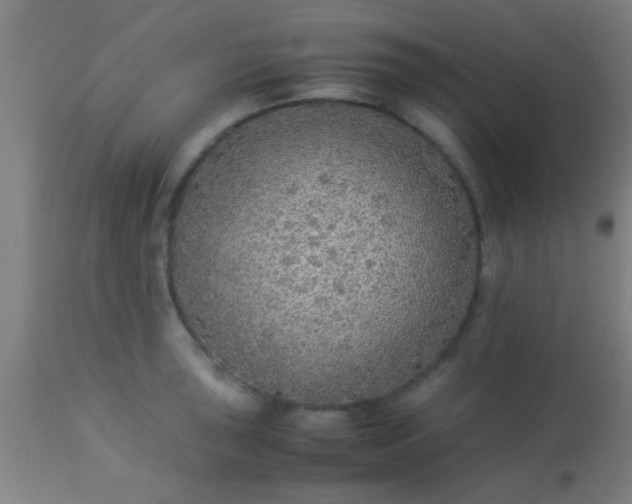 X0000114171043200910221646