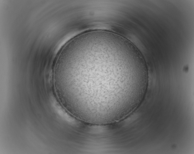 X0000114171044200910221646