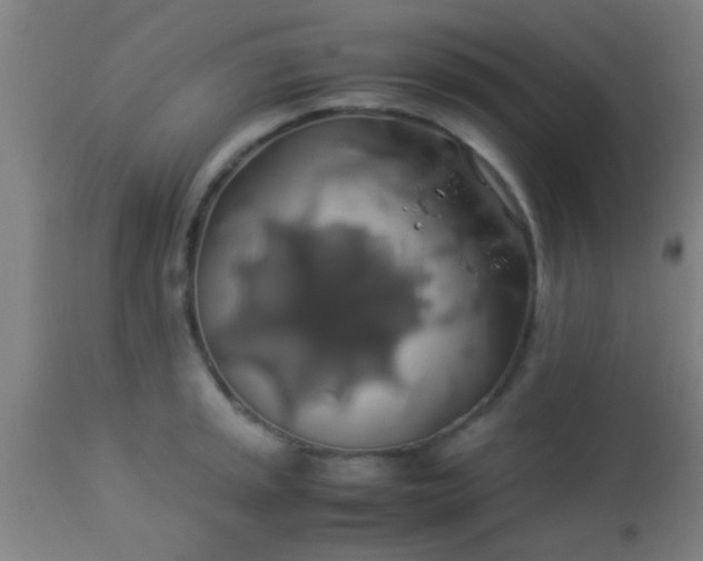 X0000114171045200910221646