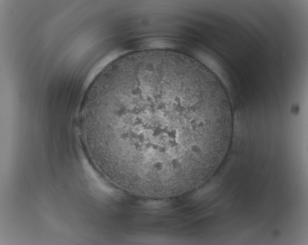 X0000114171047200910221646