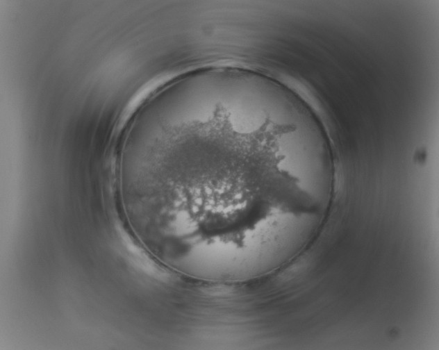 X0000114171048200910221646