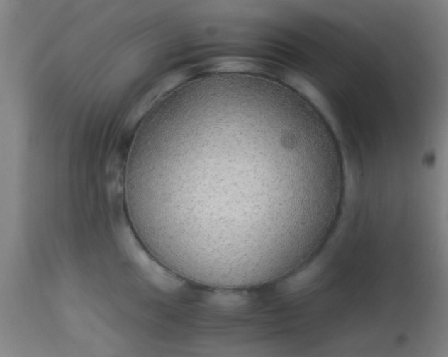 X0000114171049200910221646