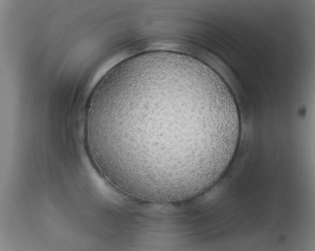 X0000114171050200910221646