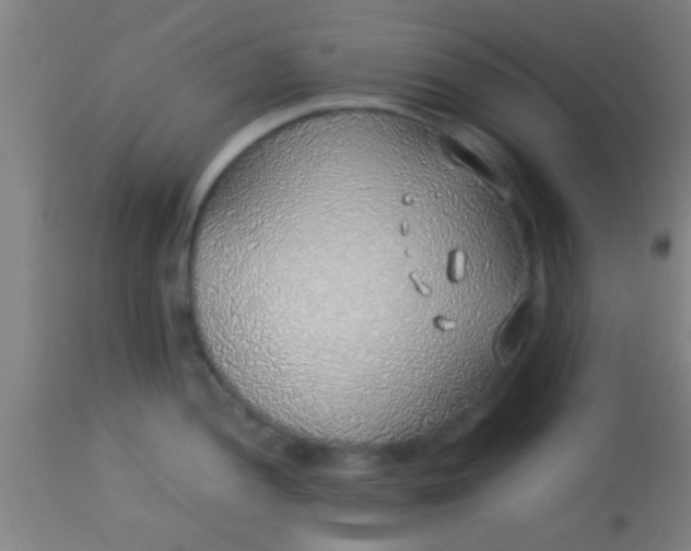 X0000114171052200910221646