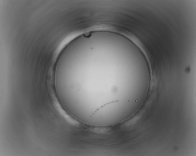 X0000114171053200910221646