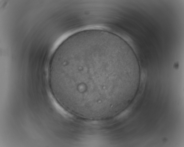 X0000114171054200910221646