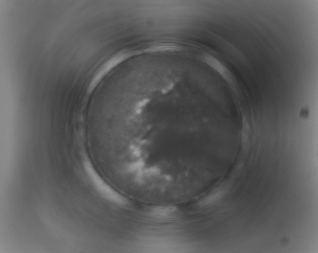 X0000114171055200910221646