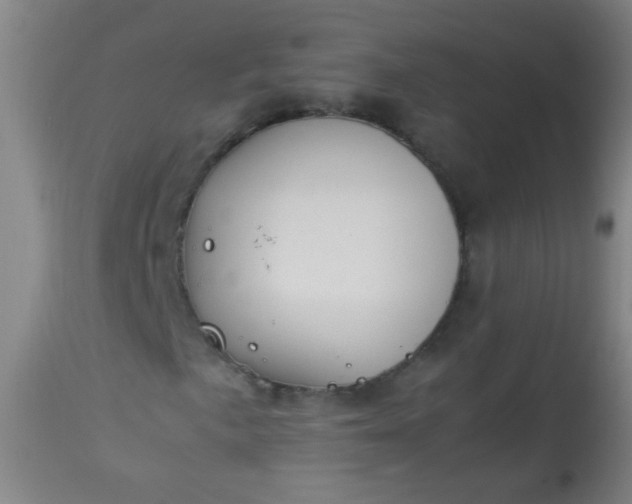 X0000114171057200910221646