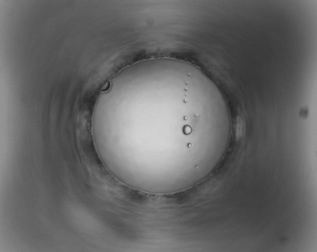 X0000114171059200910221646