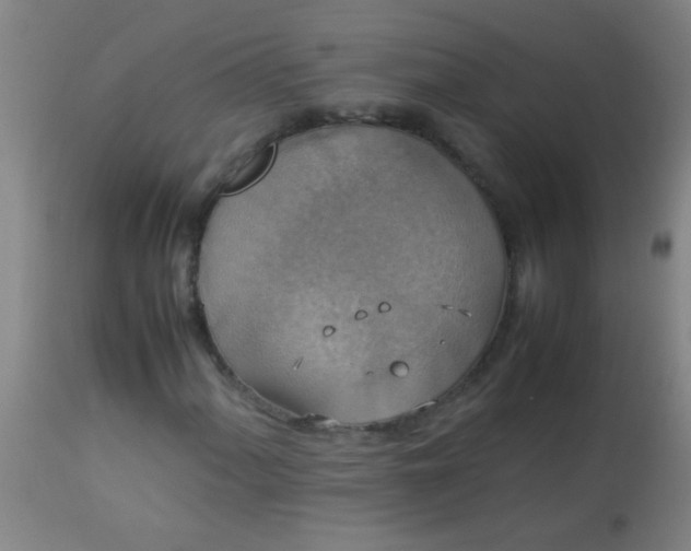 X0000114171060200910221646