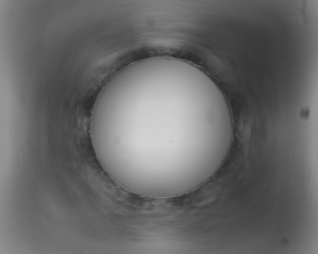 X0000114171061200910221646