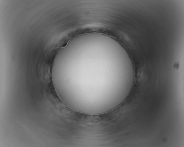 X0000114171062200910221646