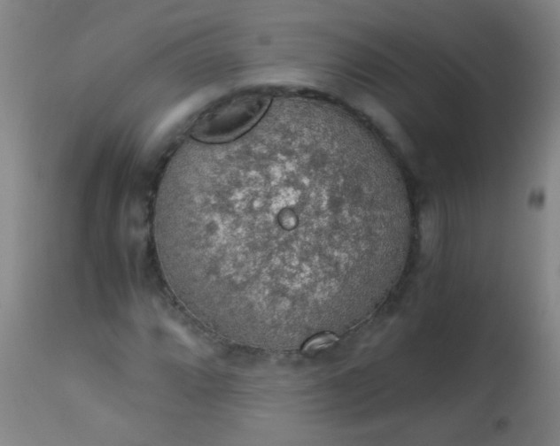 X0000114171064200910221646