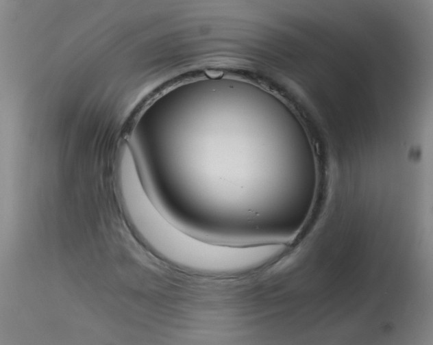 X0000114171065200910221646