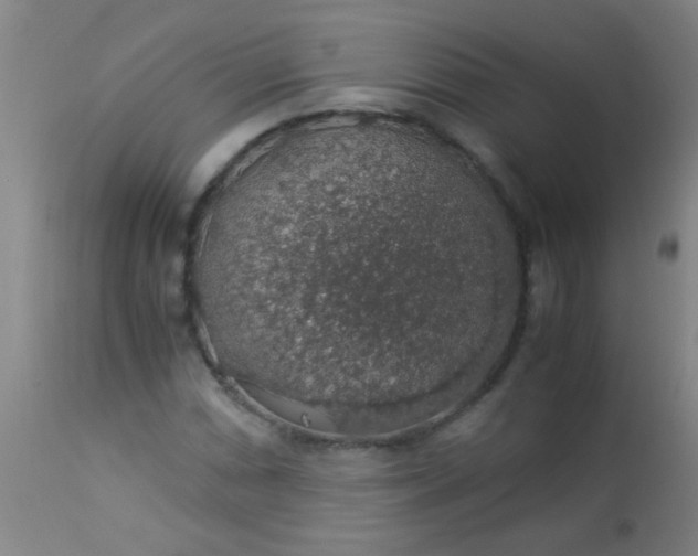 X0000114171066200910221646