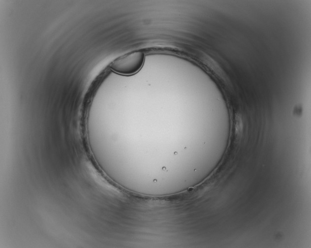 X0000114171068200910221645