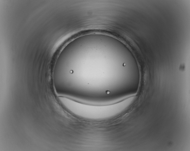 X0000114171069200910221645