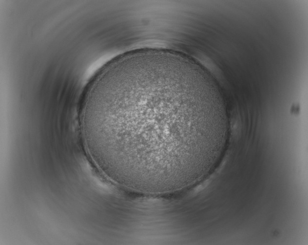 X0000114171070200910221645