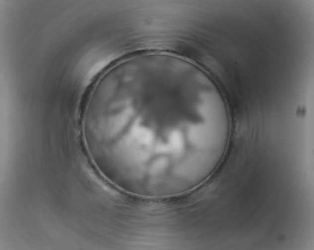 X0000114171071200910221645