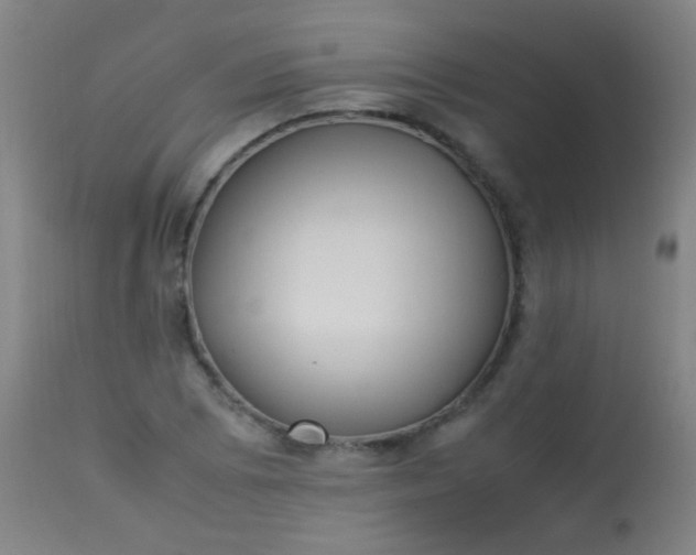 X0000114171073200910221645