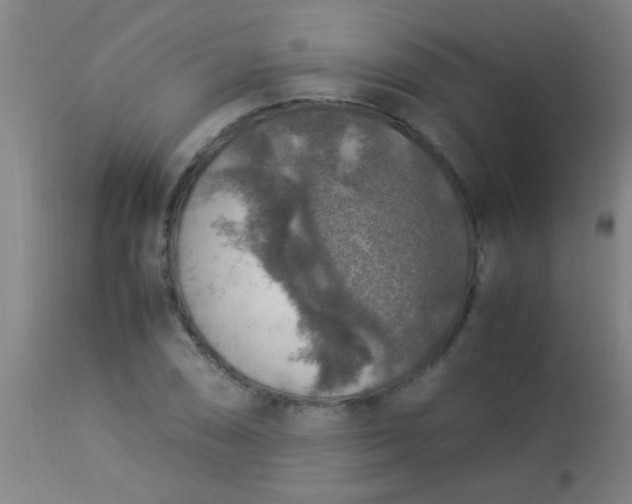 X0000114171074200910221645