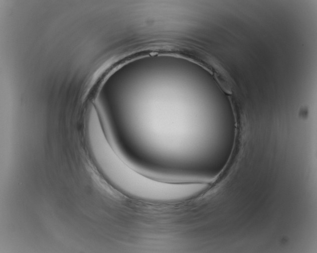 X0000114171075200910221645