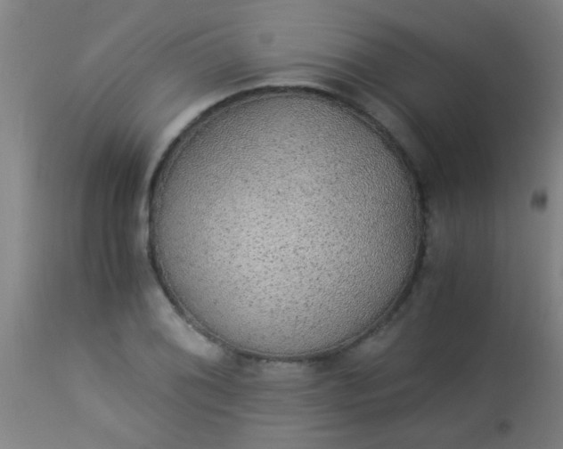 X0000114171076200910221645