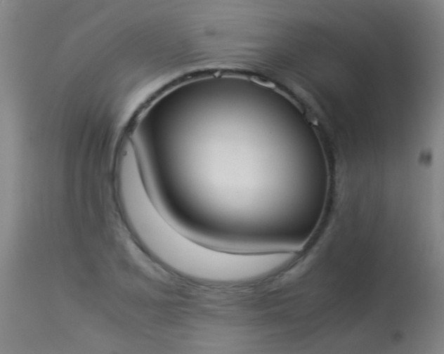 X0000114171077200910221645