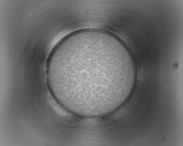 X0000114171078200910221645