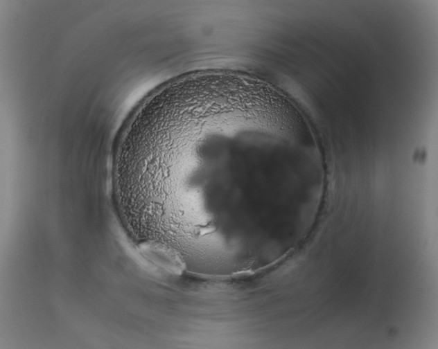 X0000114171079200910221645