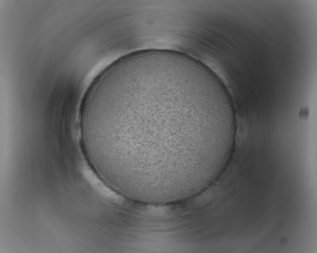 X0000114171080200910221645