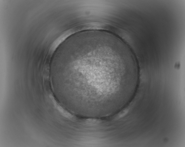 X0000114171081200910221645