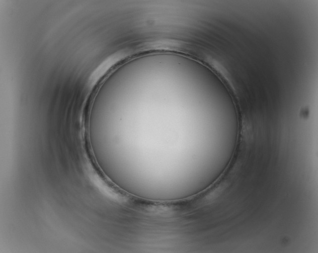 X0000114171082200910221645