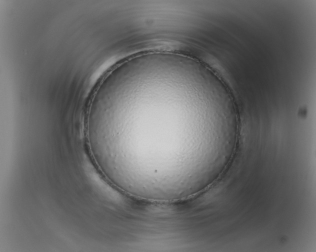 X0000114171083200910221645